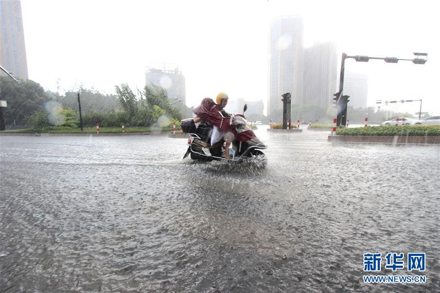 bao mangkhut tan cong quang dong anh 10