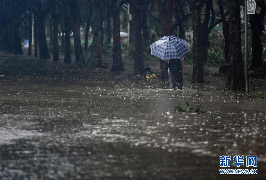 bao mangkhut tan cong quang dong anh 3