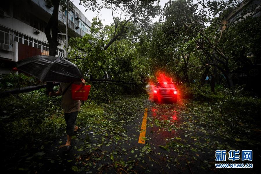bao mangkhut tan cong quang dong anh 5
