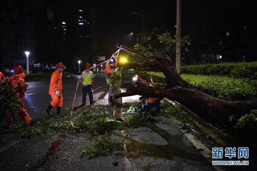 bao mangkhut tan cong quang dong anh 9