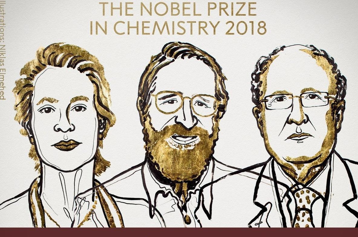 Nobel Hoa hoc 2018 cho nghien cuu 'Darwin trong ong nghiem' hinh anh