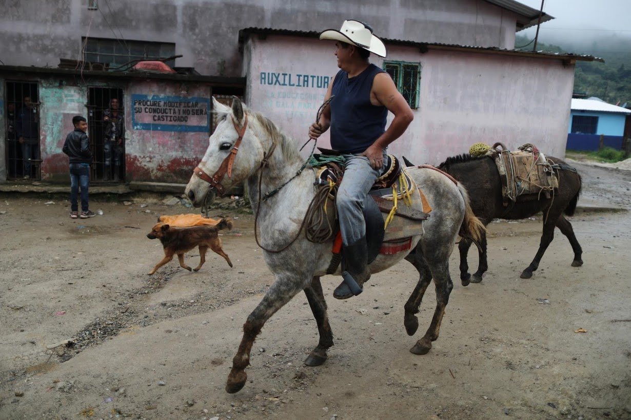 di dan guatemala den my anh 6