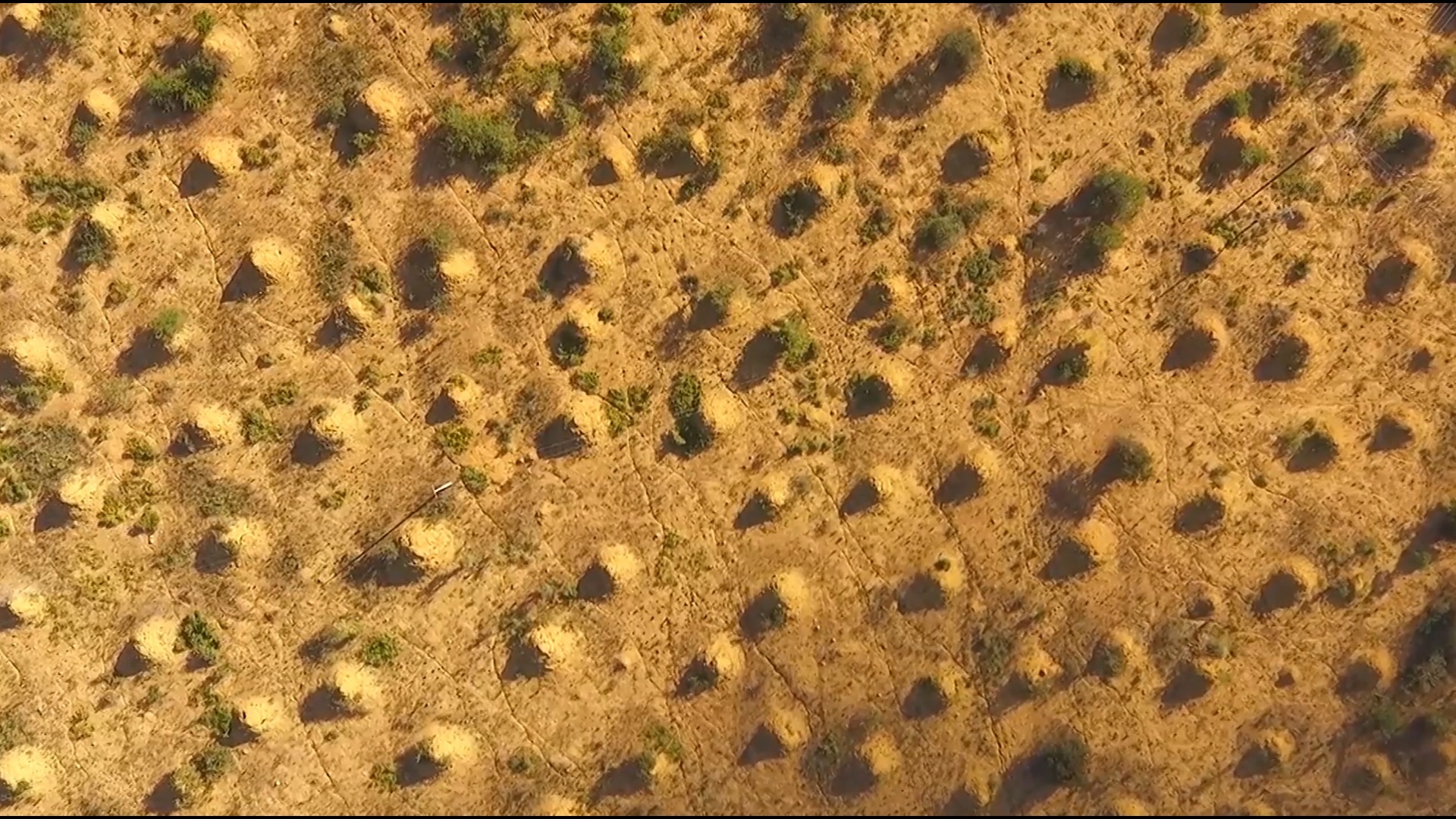 Sieu thanh pho lon bang nuoc Anh cua loai moi o Brazil hinh anh