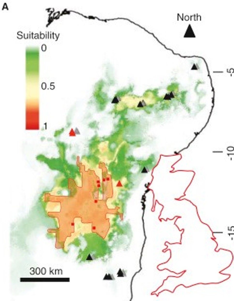 siêu thành phố của loài mối của brazil ảnh 2 sieu thanh pho cua loai moi cua brazil anh 2