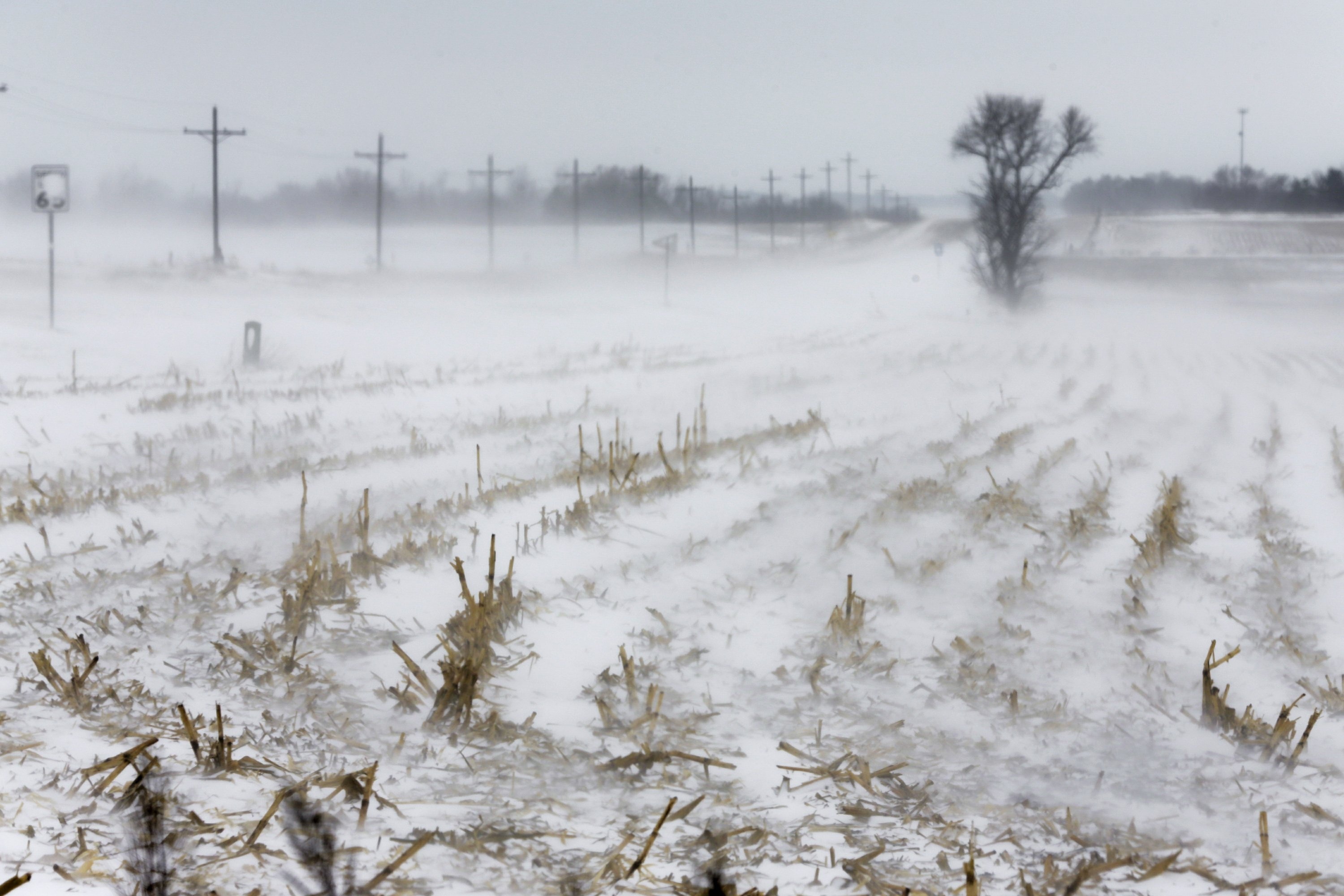 bao tuyet vung trung tay my anh 8