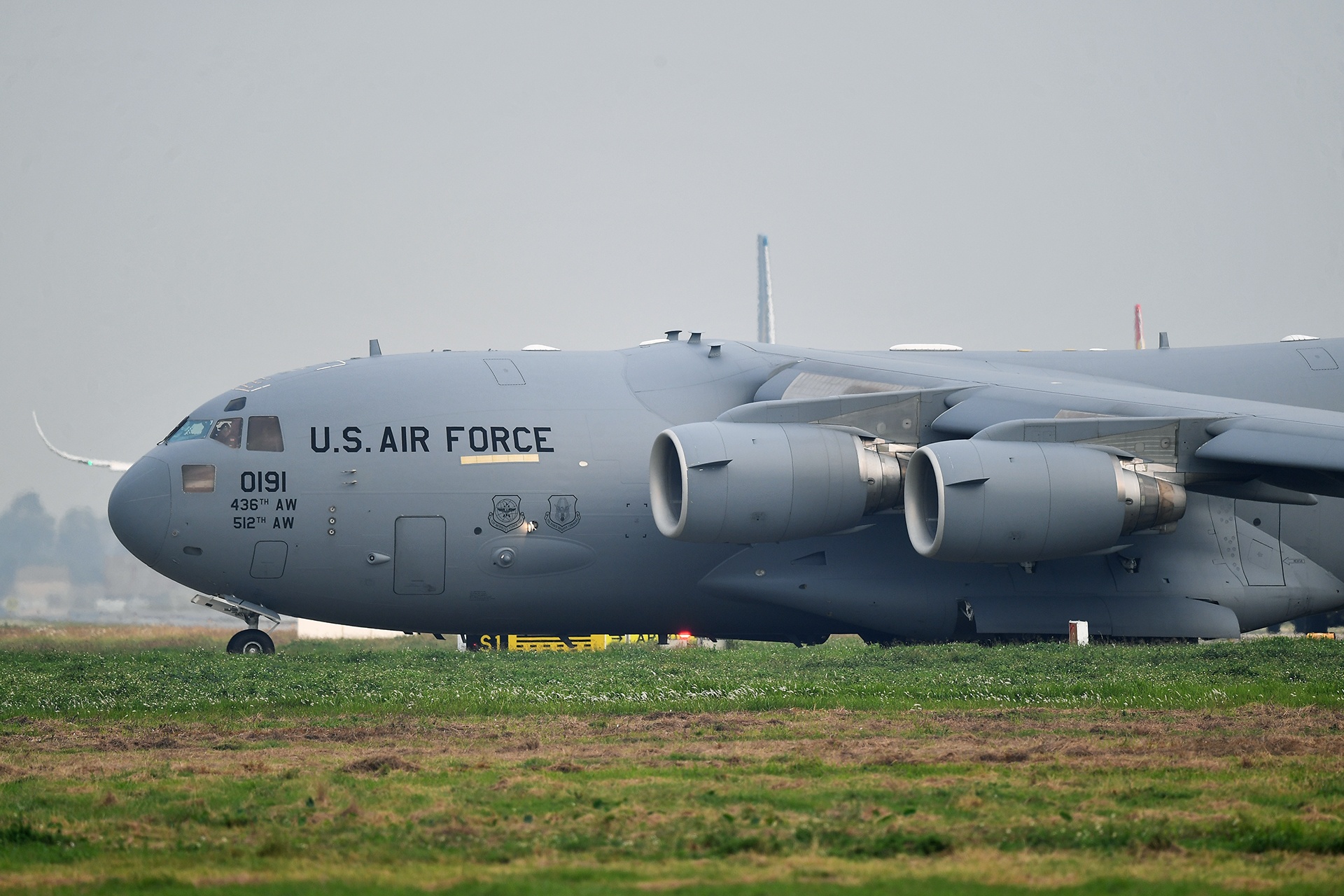 ngua tho khong quan my cat canh anh 8