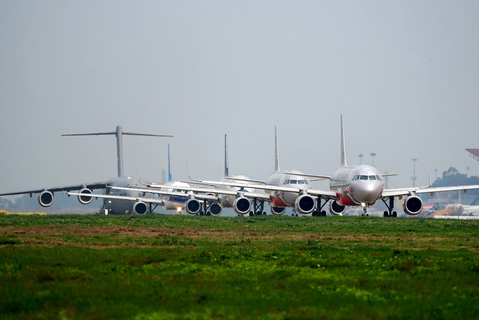 ngua tho khong quan my cat canh anh 3