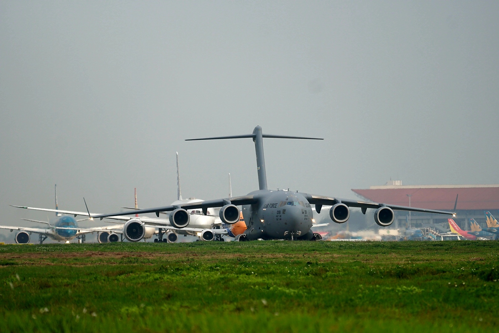 ngua tho khong quan my cat canh anh 6