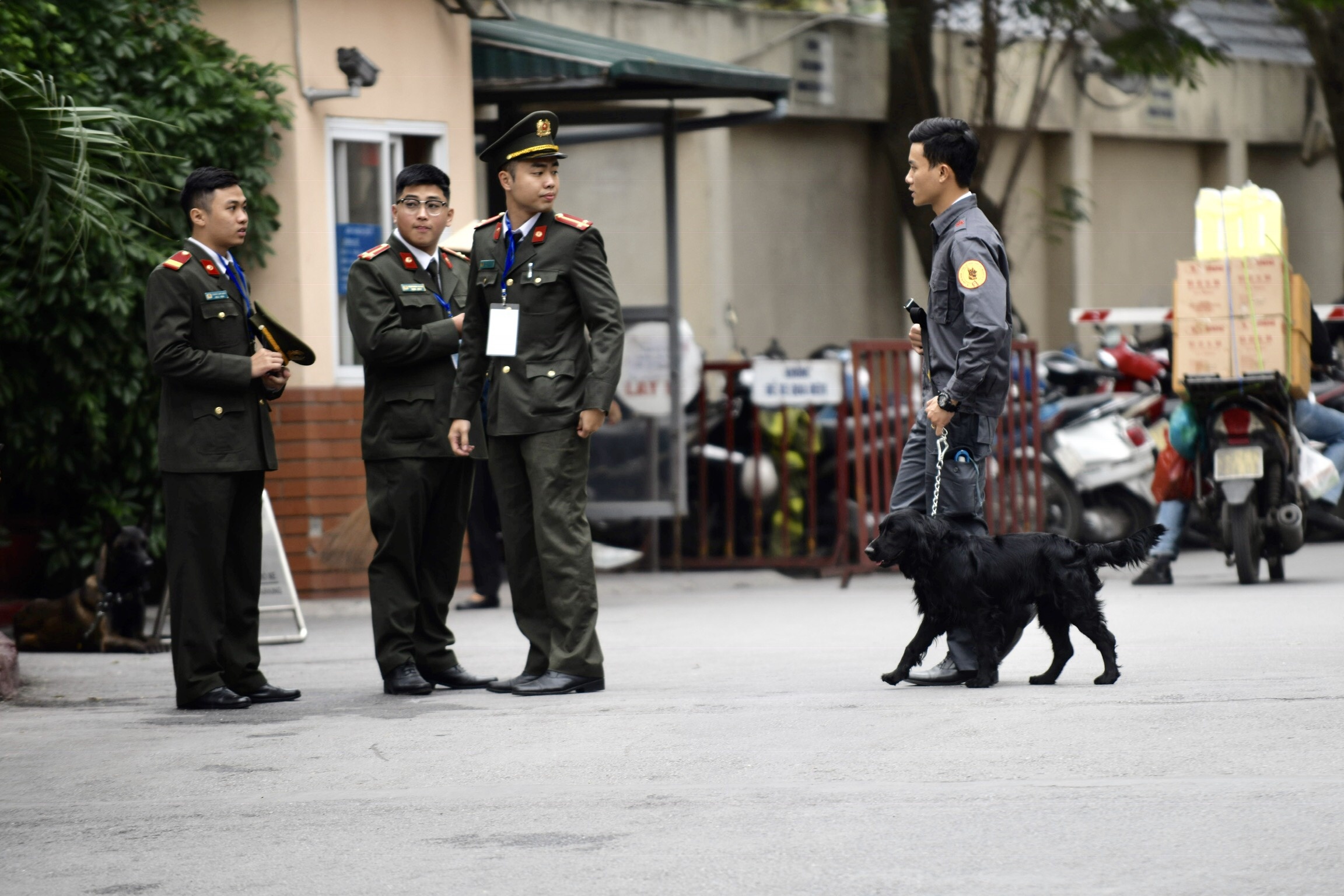 chó nghiệp vụ rà mìn khách sạn melia ảnh 11 cho nghiep vu ra min khach san melia anh 11