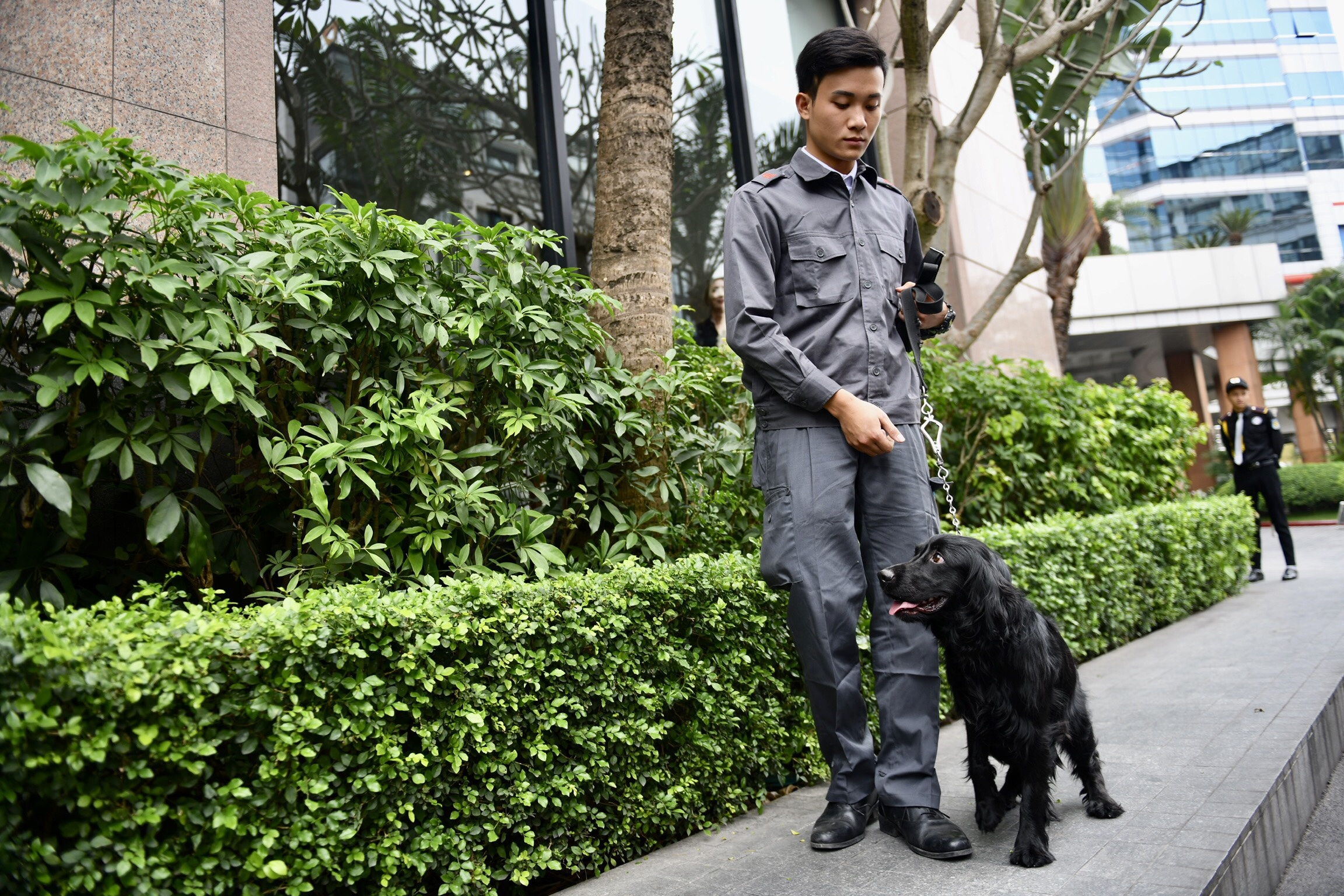 chó nghiệp vụ rà mìn khách sạn melia ảnh 5 cho nghiep vu ra min khach san melia anh 5