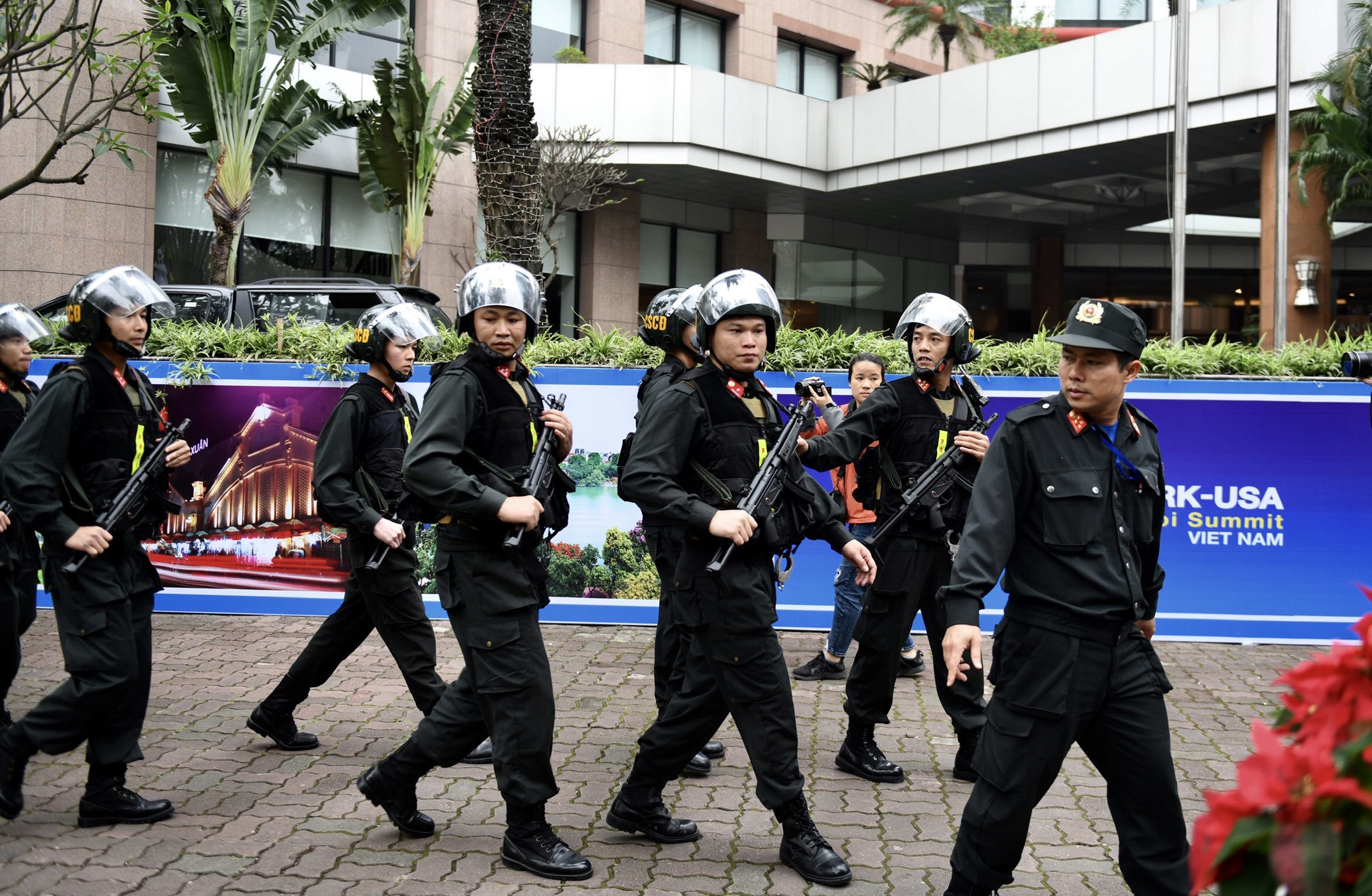 chó nghiệp vụ rà mìn khách sạn melia ảnh 4 cho nghiep vu ra min khach san melia anh 4