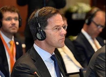 Thu tuong Ha Lan: 'Chung toi khong phan nan gi ve kinh doanh tai VN' hinh anh