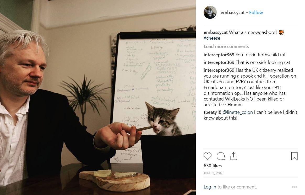 con meo cua nha sang lap wikileaks anh 1
