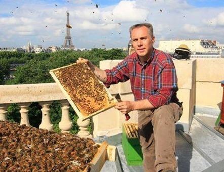 Dan ong 200.000 con cua Nha tho Duc Ba song sot 'ky dieu' sau vu chay hinh anh