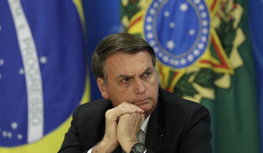 chay rung amazon o brazil anh 2