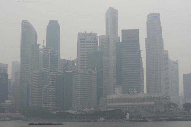 Singapore va Malaysia mit mu trong bui, Indonesia phu nhan la thu pham hinh anh