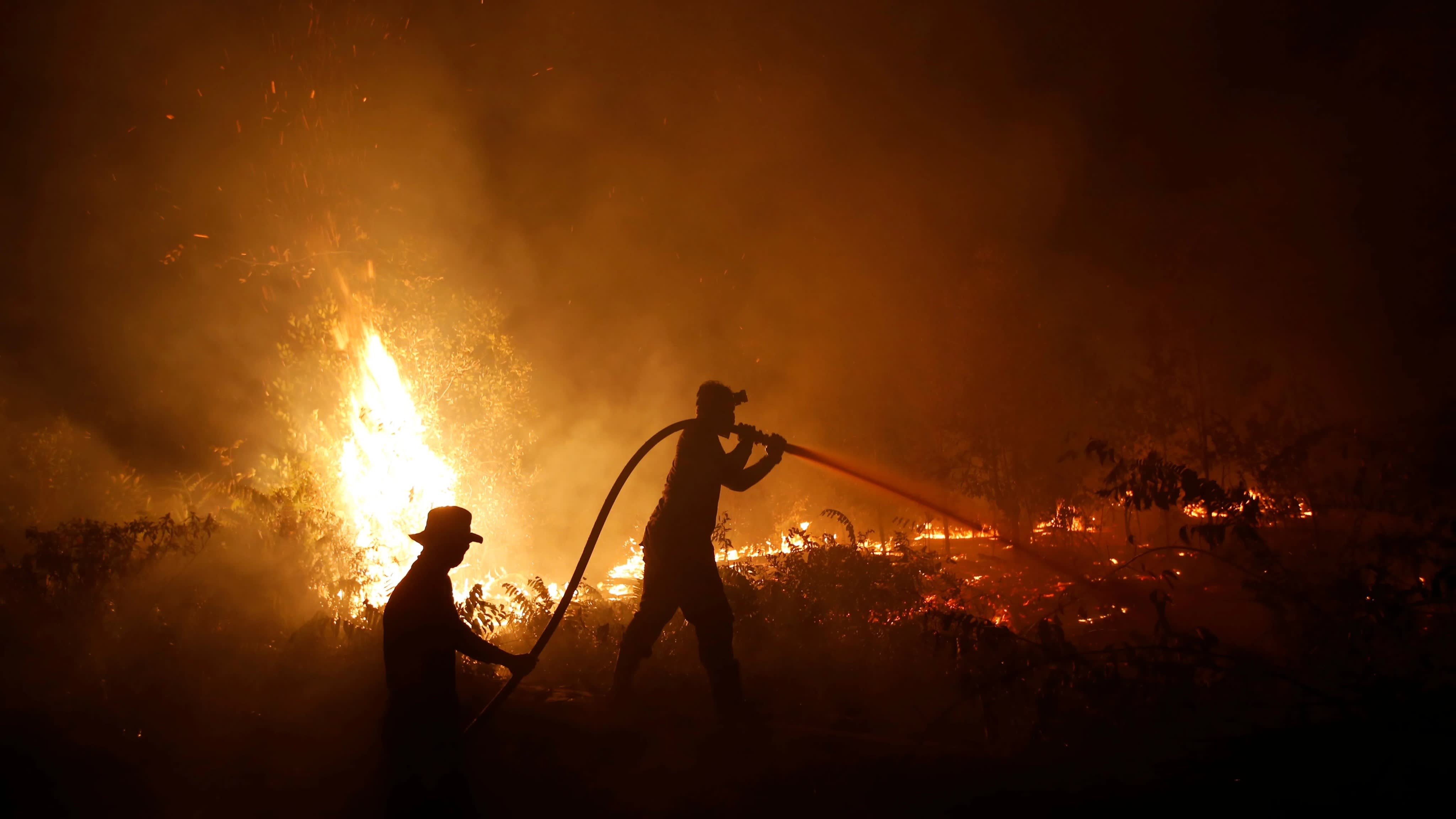 khoi mu tu chay rung indonesia anh 1