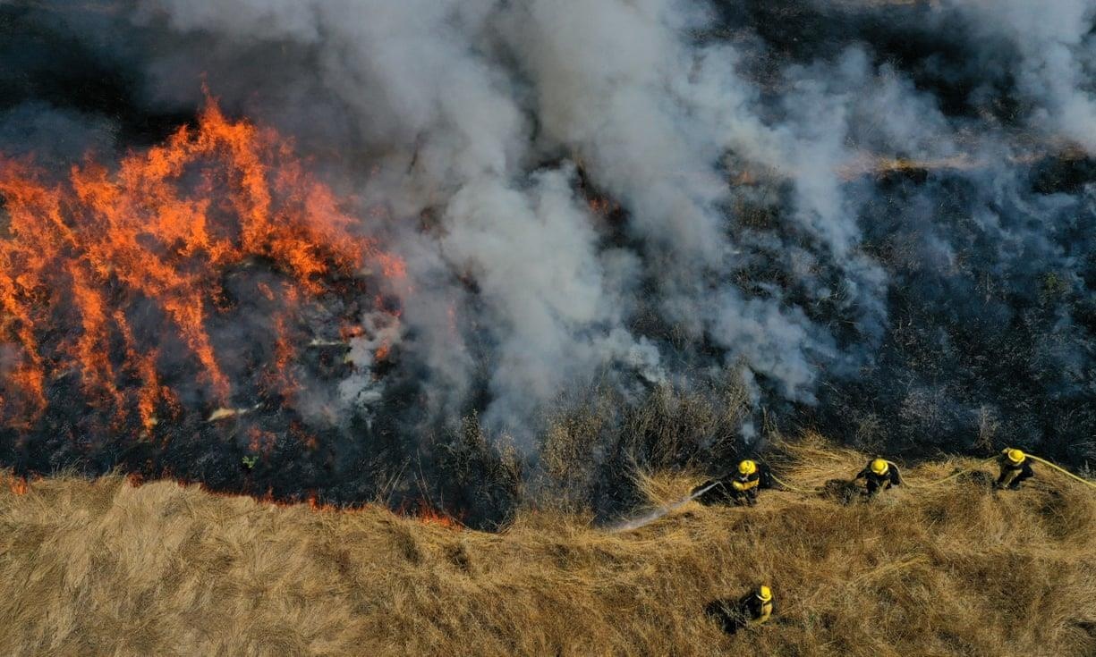 Buon vi vo khong cung ve hop lop, chong dot 13 canh rung hinh anh