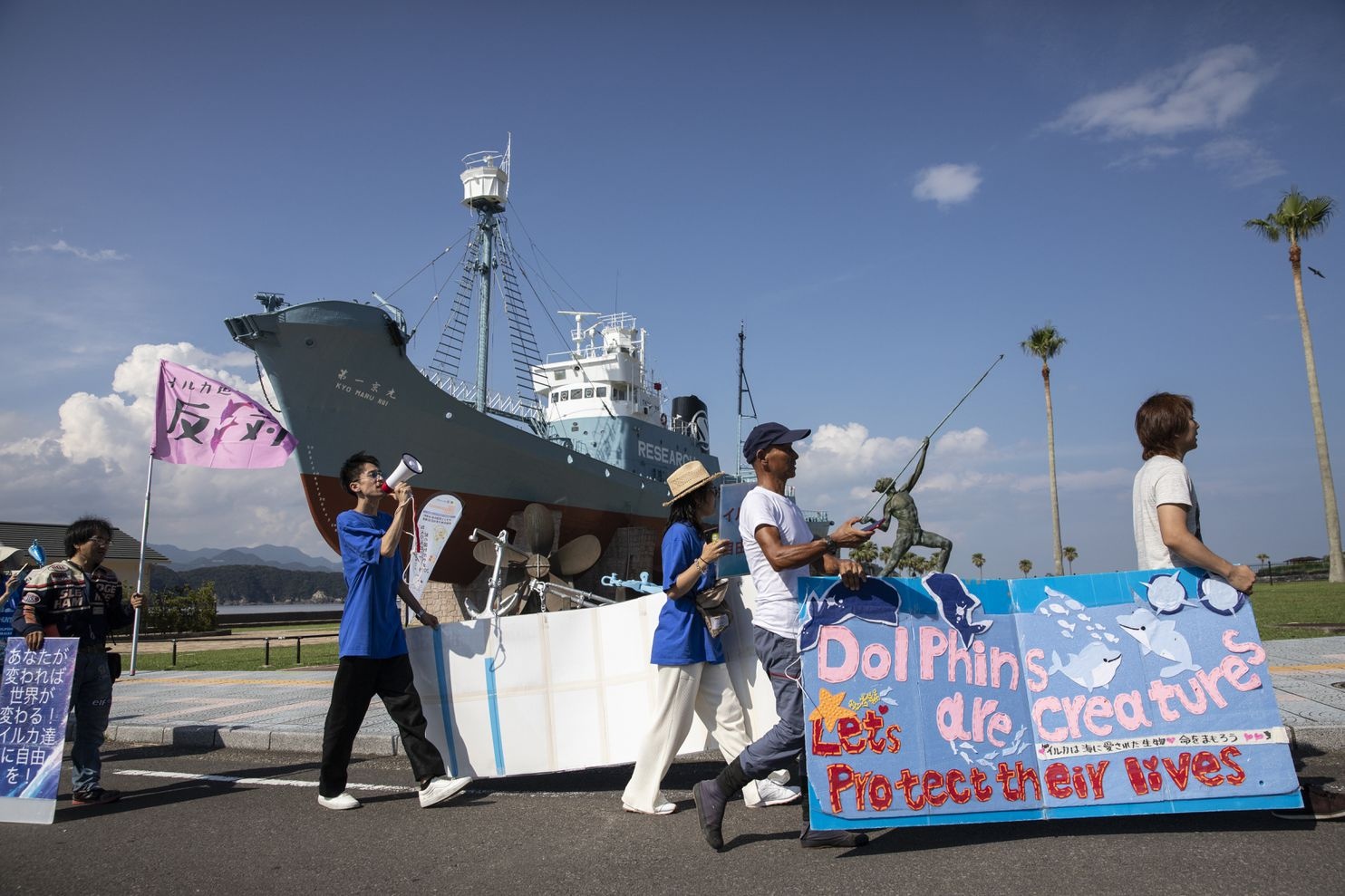 săn bắt cá heo ở Nhật Bản ảnh 4 san bat ca heo o Nhat Ban anh 4