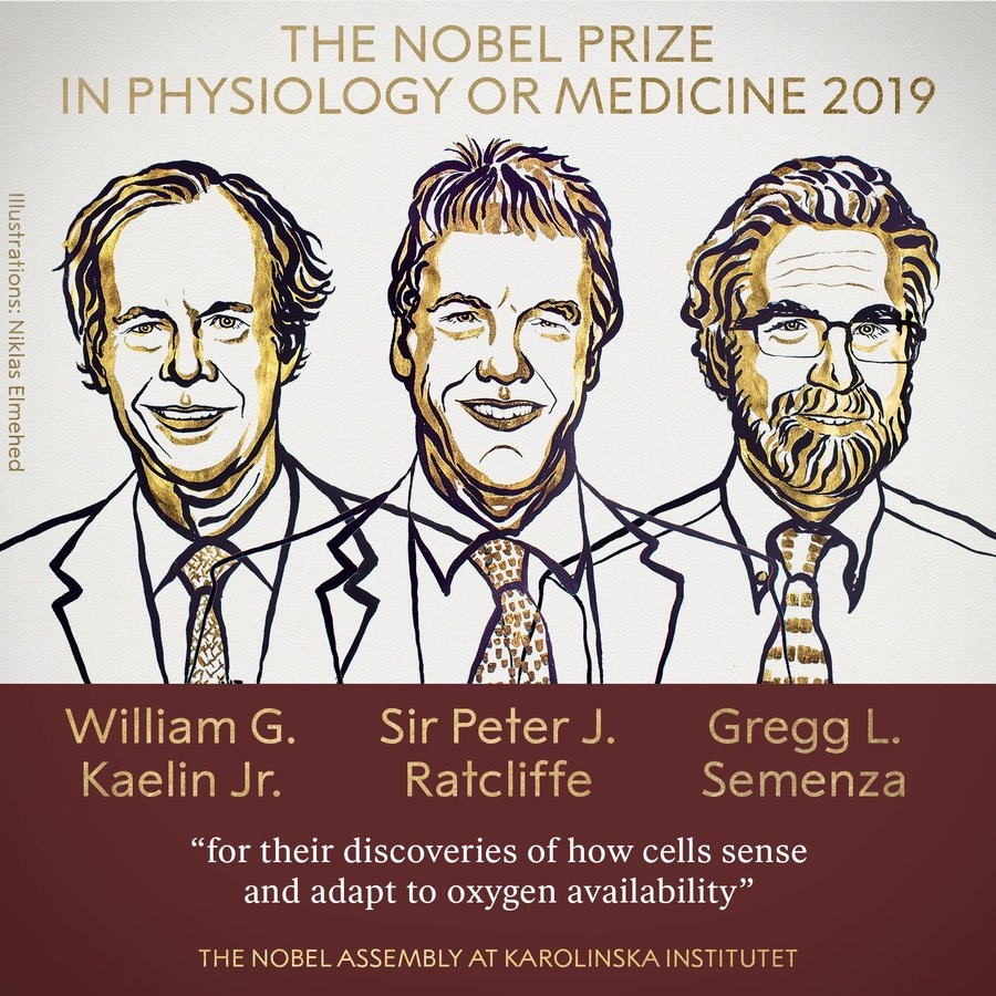 Nobel Y khoa năm 2019 ảnh 1 Nobel Y khoa nam 2019 anh 1
