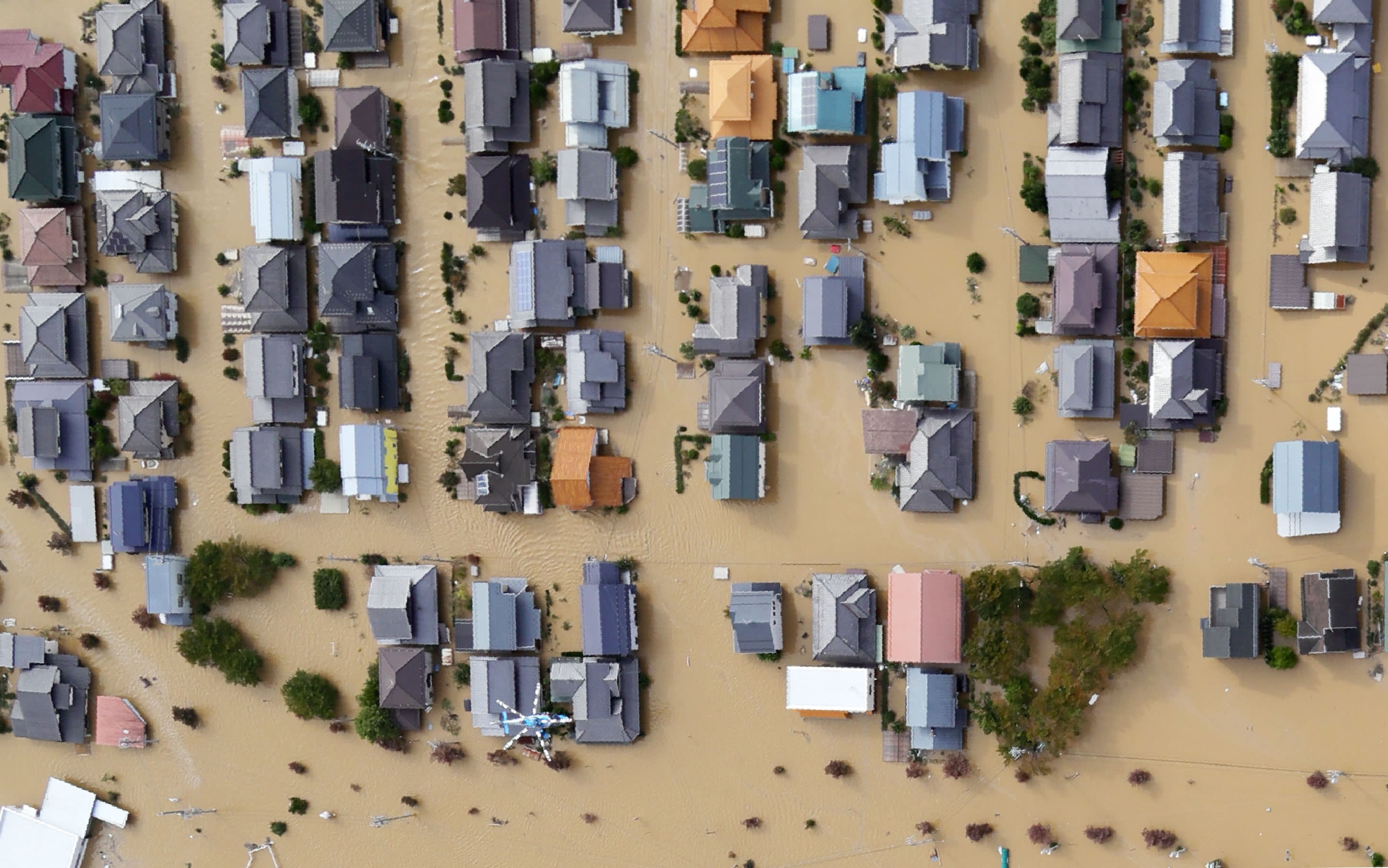 Nhat chay dua tim kiem nguoi mat tich sau bao Hagibis hinh anh