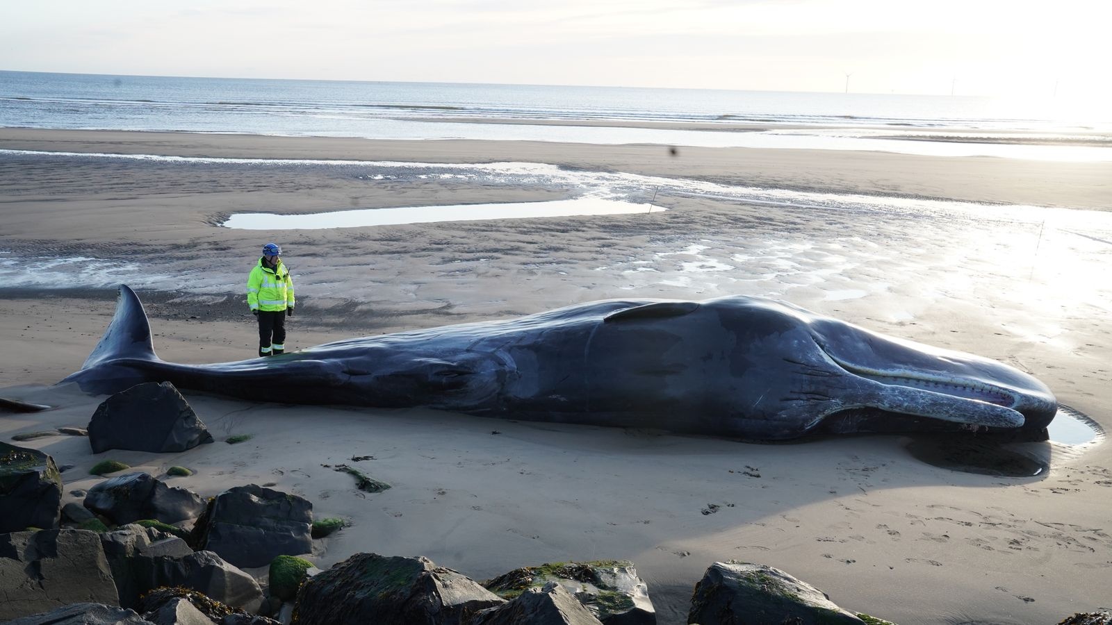 ca nha tang mac can chet o anh anh 1