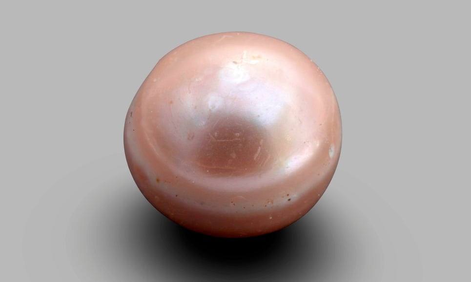 Tim thay vien ngoc trai 8.000 nam tuoi 'lau doi nhat the gioi' hinh anh