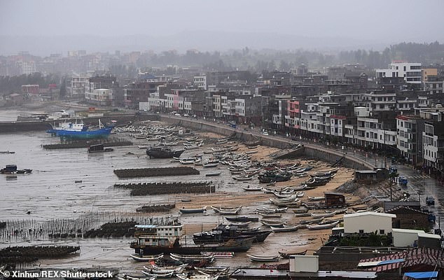 39 người chết trên xe tải ở anh ảnh 4 39 nguoi chet tren xe tai o anh anh 4