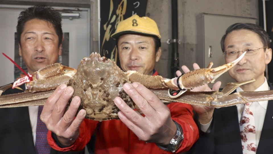 46.000 USD cho mot con cua tuyet o Nhat Ban hinh anh