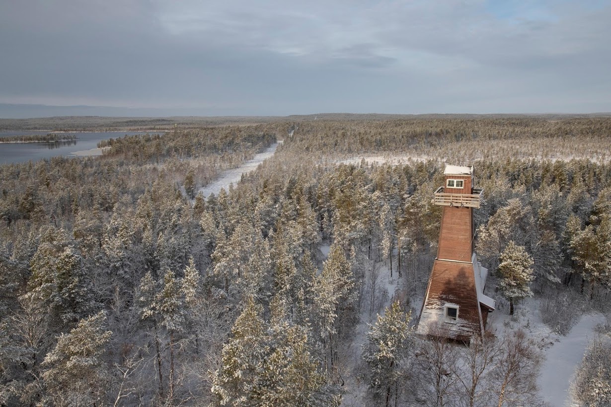 nga cung co binh luc o bien gioi anh 3
