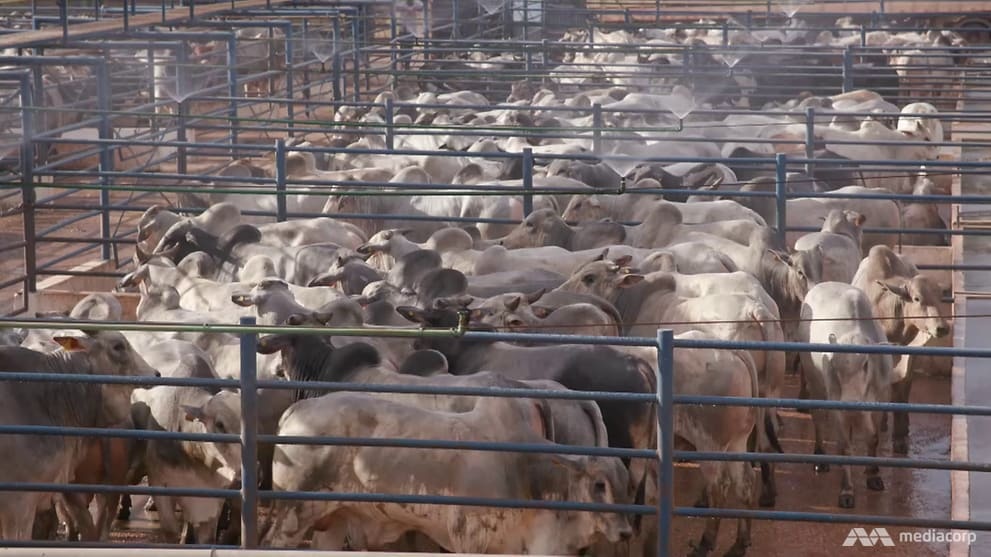 rừng amazon bị tàn phá ảnh 3 rung amazon bi tan pha anh 3