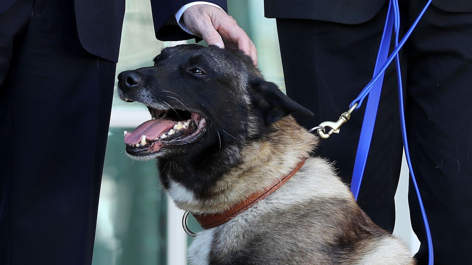 Tranh cai ve gioi tinh cho nghiep vu Conan giup tieu diet thu linh IS hinh anh