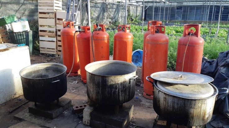 Phat hien 5 nguoi Viet song 'tu tung, kho so' trong vuon uom o Anh hinh anh