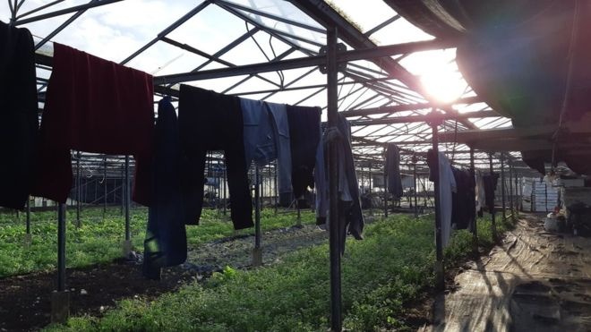 nguoi viet o anh anh 3