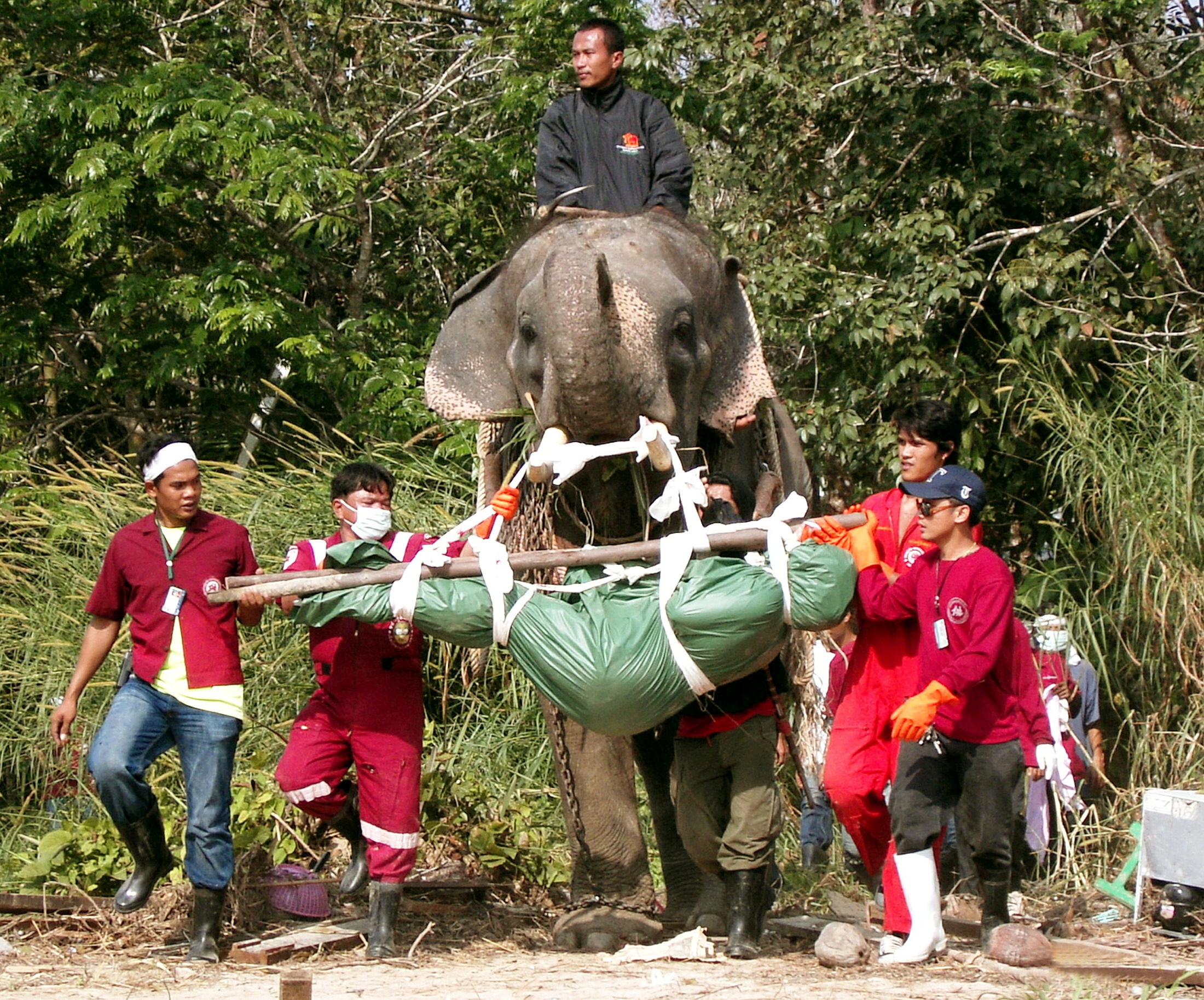 song than an do duong 2004 anh 5