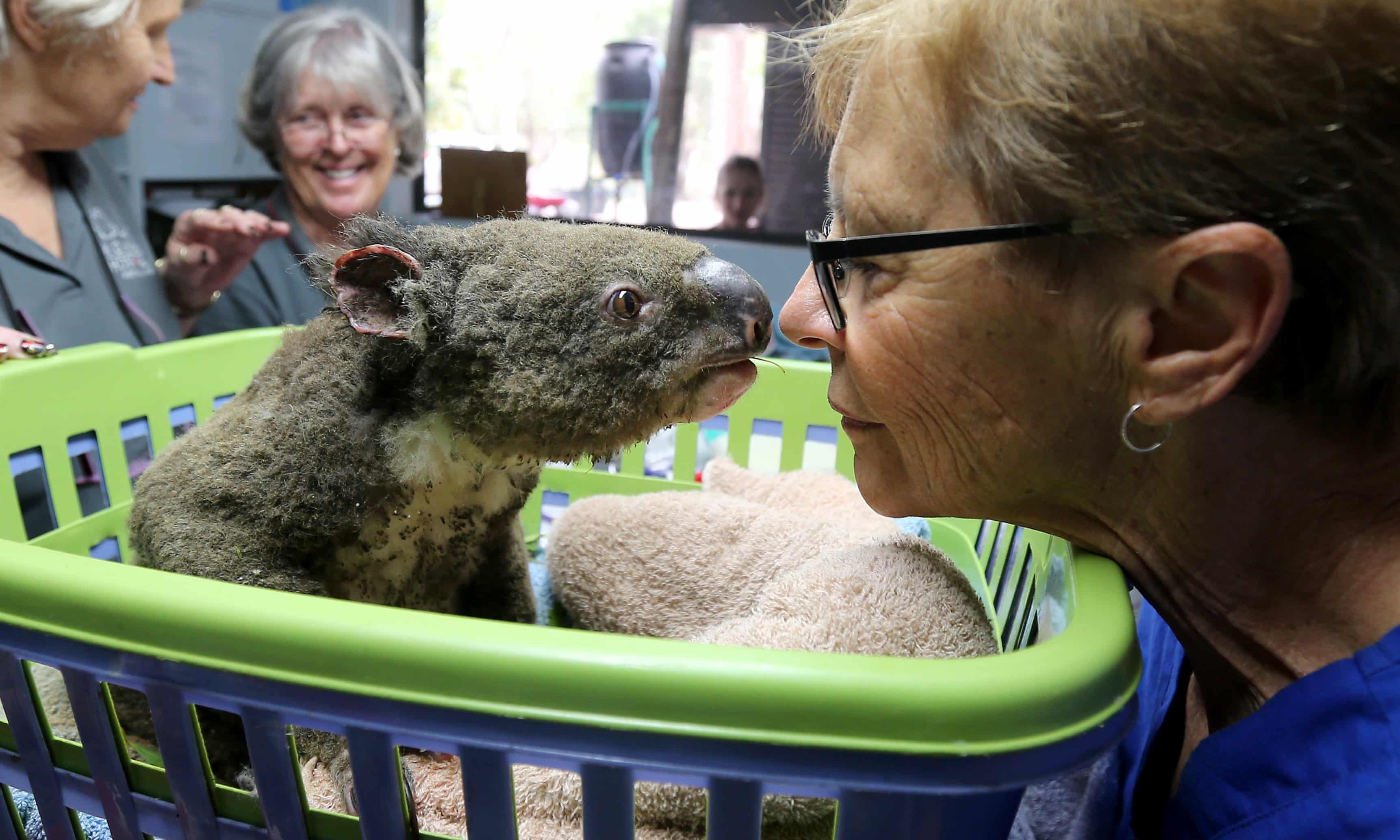 Australia nong ky luc - tren bo la chao lua, duoi bien hoa 'noi lau' hinh anh