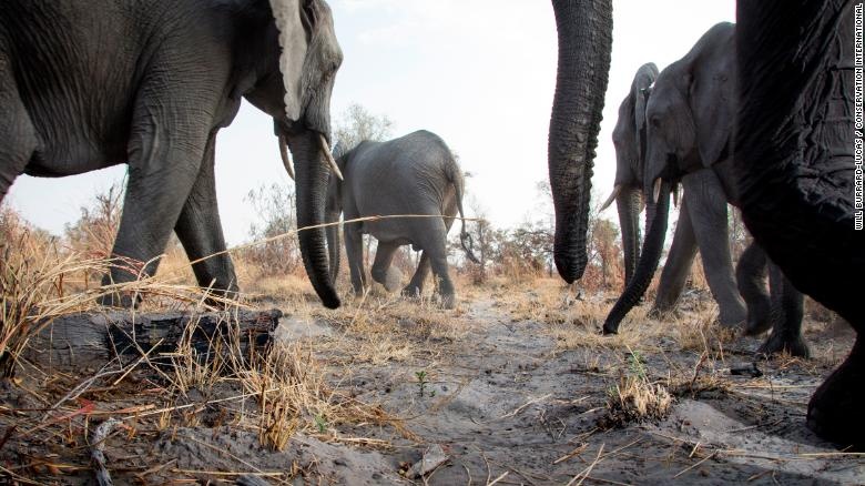 kho bay anh hang trieu tam anh 16