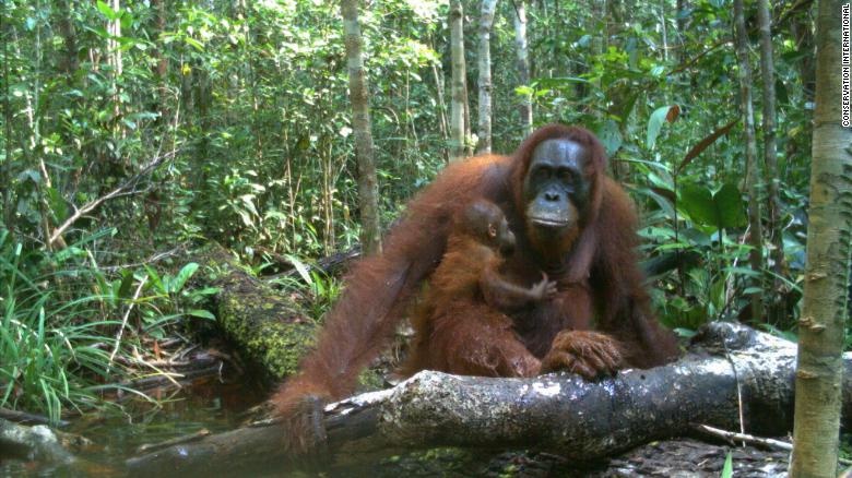 kho bay anh hang trieu tam anh 11