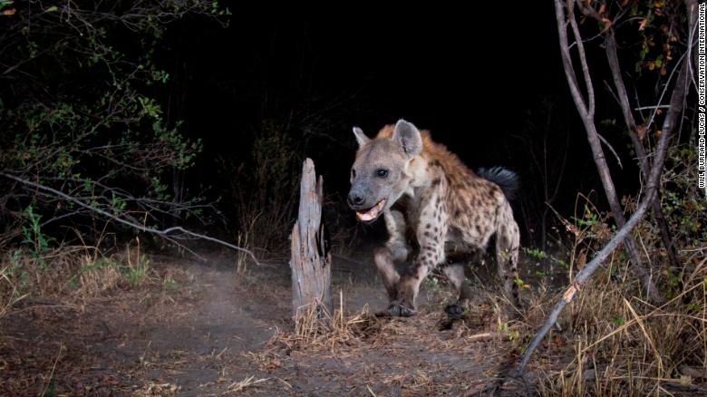 kho bay anh hang trieu tam anh 5