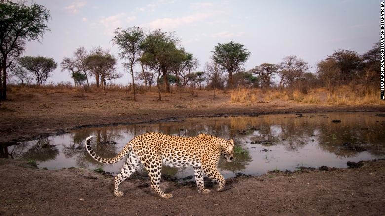 kho bay anh hang trieu tam anh 10