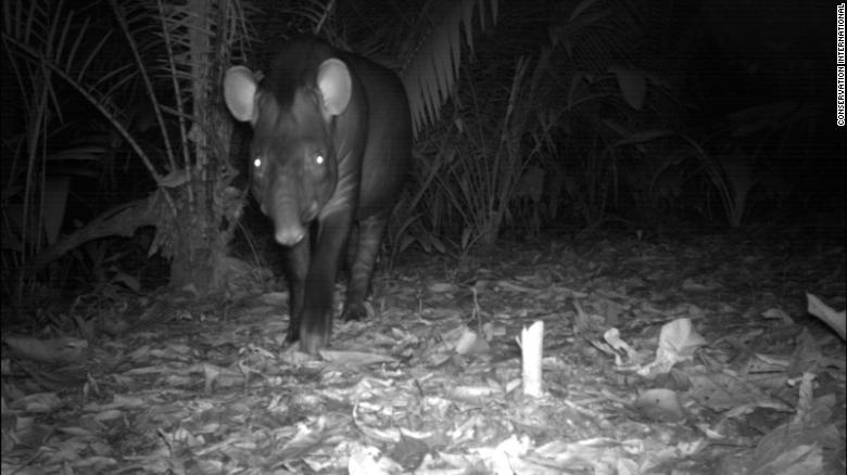 kho bay anh hang trieu tam anh 17