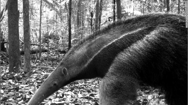 kho bay anh hang trieu tam anh 9