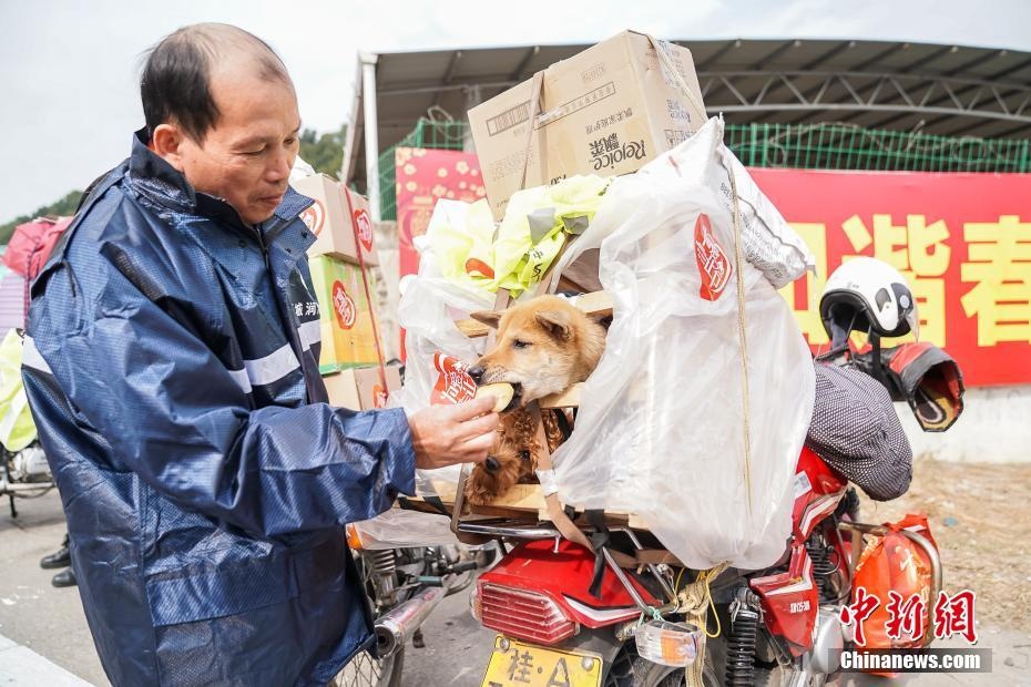 nguoi trung quoc ve que don tet anh 14
