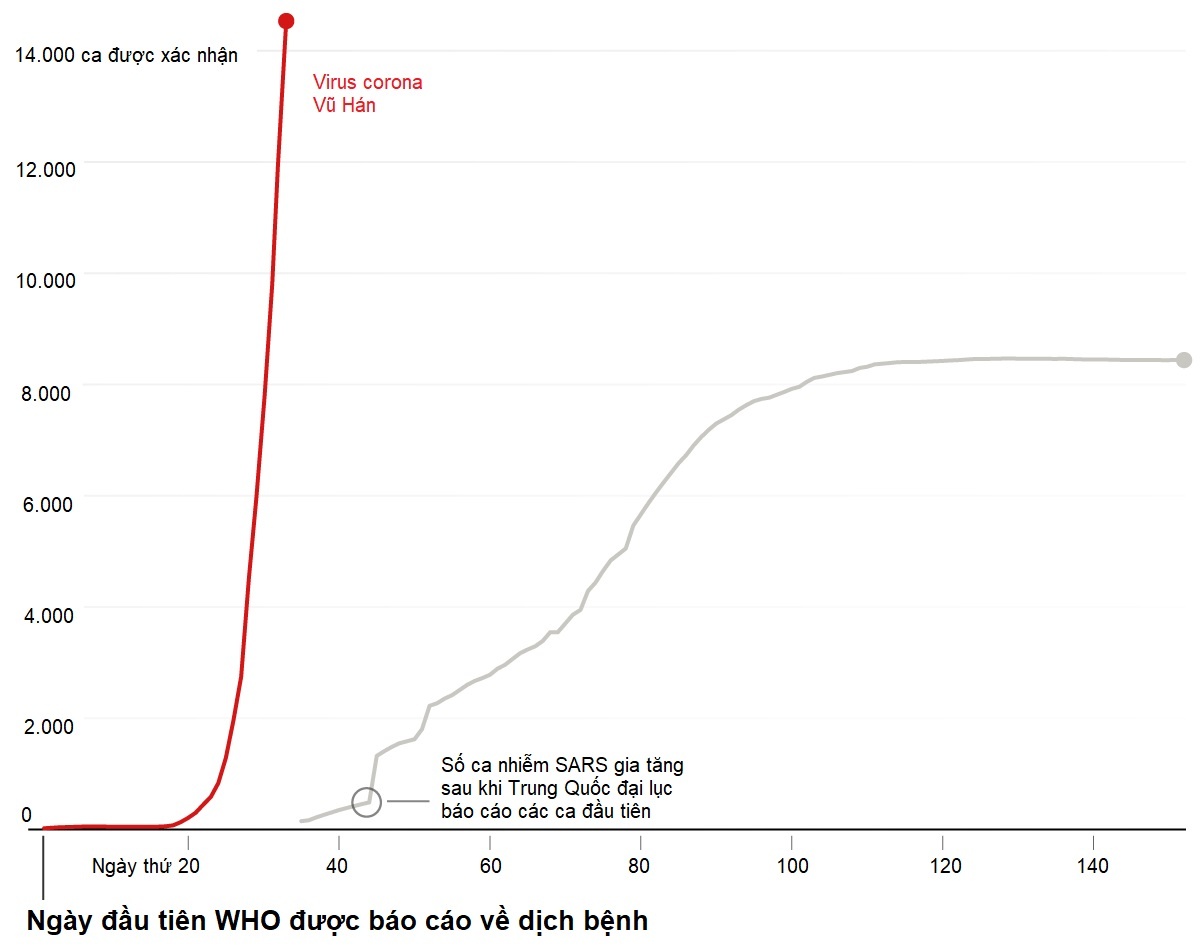 virus corona vu han thanh dai dich anh 1