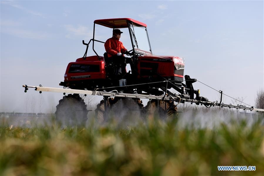 nong dan trung quoc quay lai san xuat anh 1