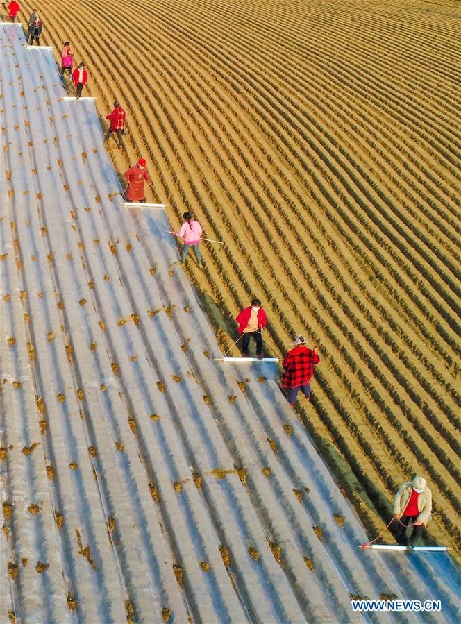 nong dan trung quoc quay lai san xuat anh 3