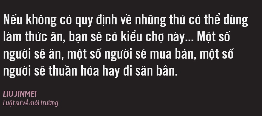 dich virus corona o trung quoc anh 6