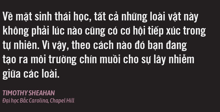 dich virus corona o trung quoc anh 7