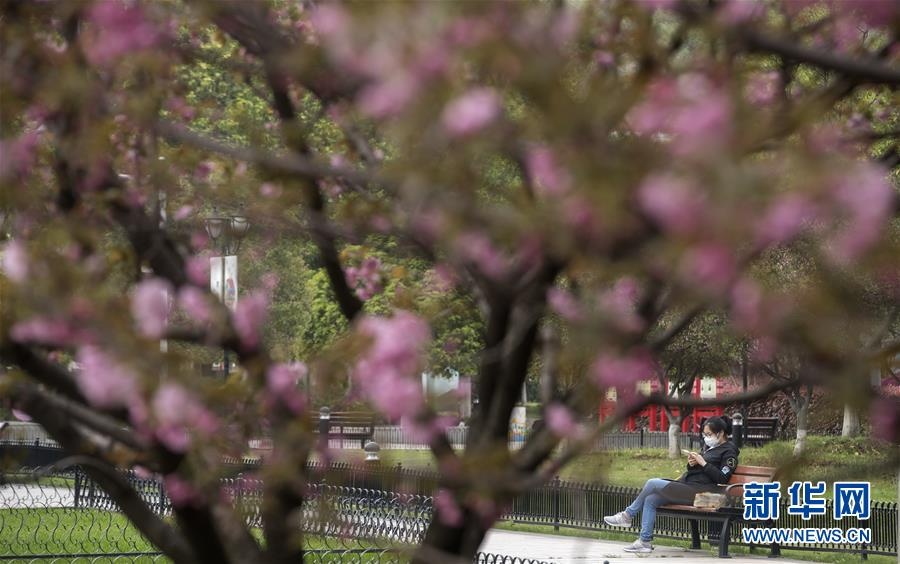 hoi tho cuoc song tro lai vu han anh 6