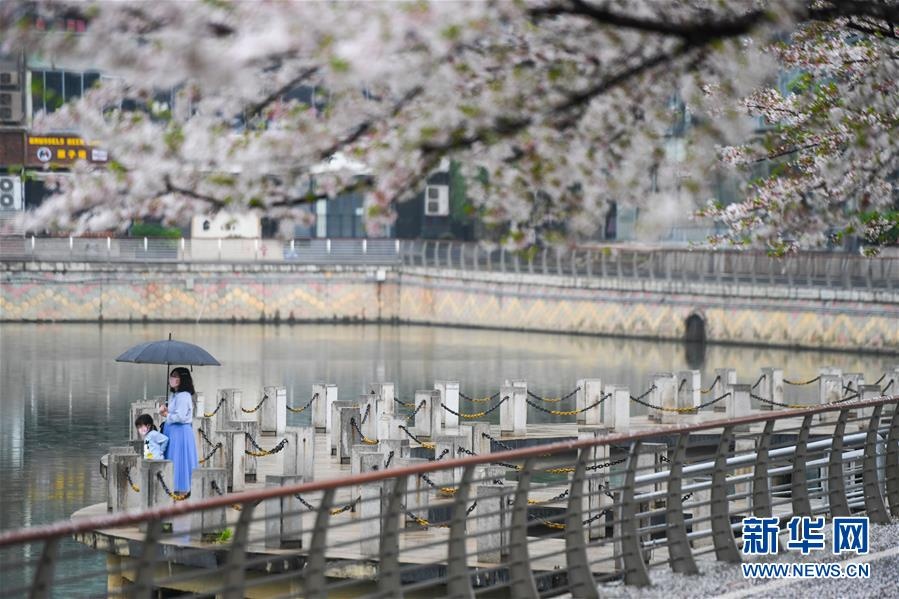 hoi tho cuoc song tro lai vu han anh 9